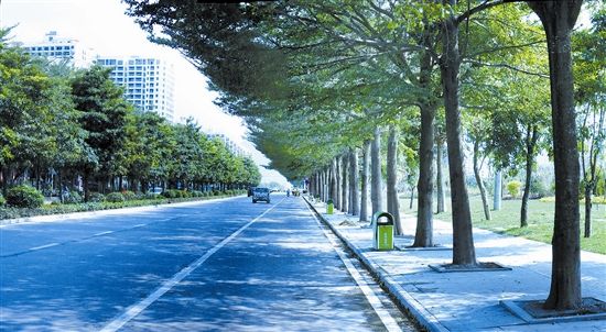 崖州灣科技城研學(xué)大道A段道路工程項(xiàng)目EPC、監(jiān)理