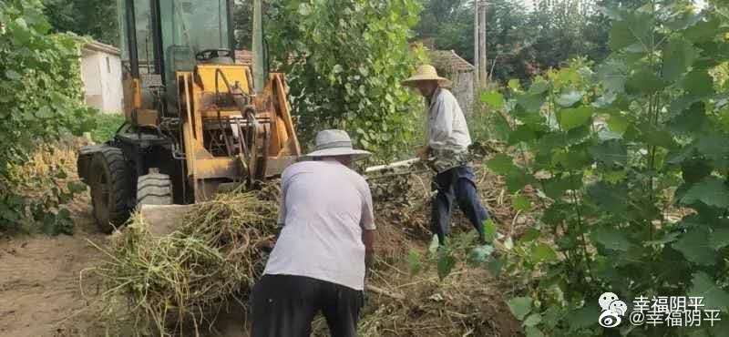 惠州監(jiān)獄潲水垃圾清運(yùn)服務(wù)采購項(xiàng)目成交公告