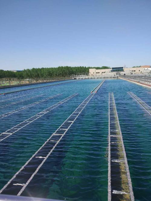 大名縣南水北調(diào)第二水廠項目