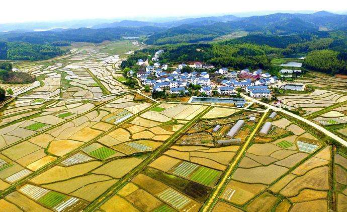 西安市臨潼區(qū)農(nóng)村“房地一體”宅基地和集體建設(shè)用地不動(dòng)產(chǎn)權(quán)籍調(diào)查牽頭服務(wù)采購項(xiàng)目、地權(quán)籍調(diào)查服務(wù)采購項(xiàng)目